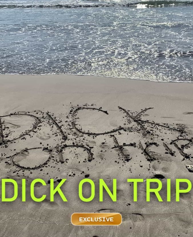 Dick op reis
